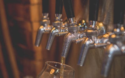 Interested in a Craft Beer Franchise? Know These Top 2022 Trends
